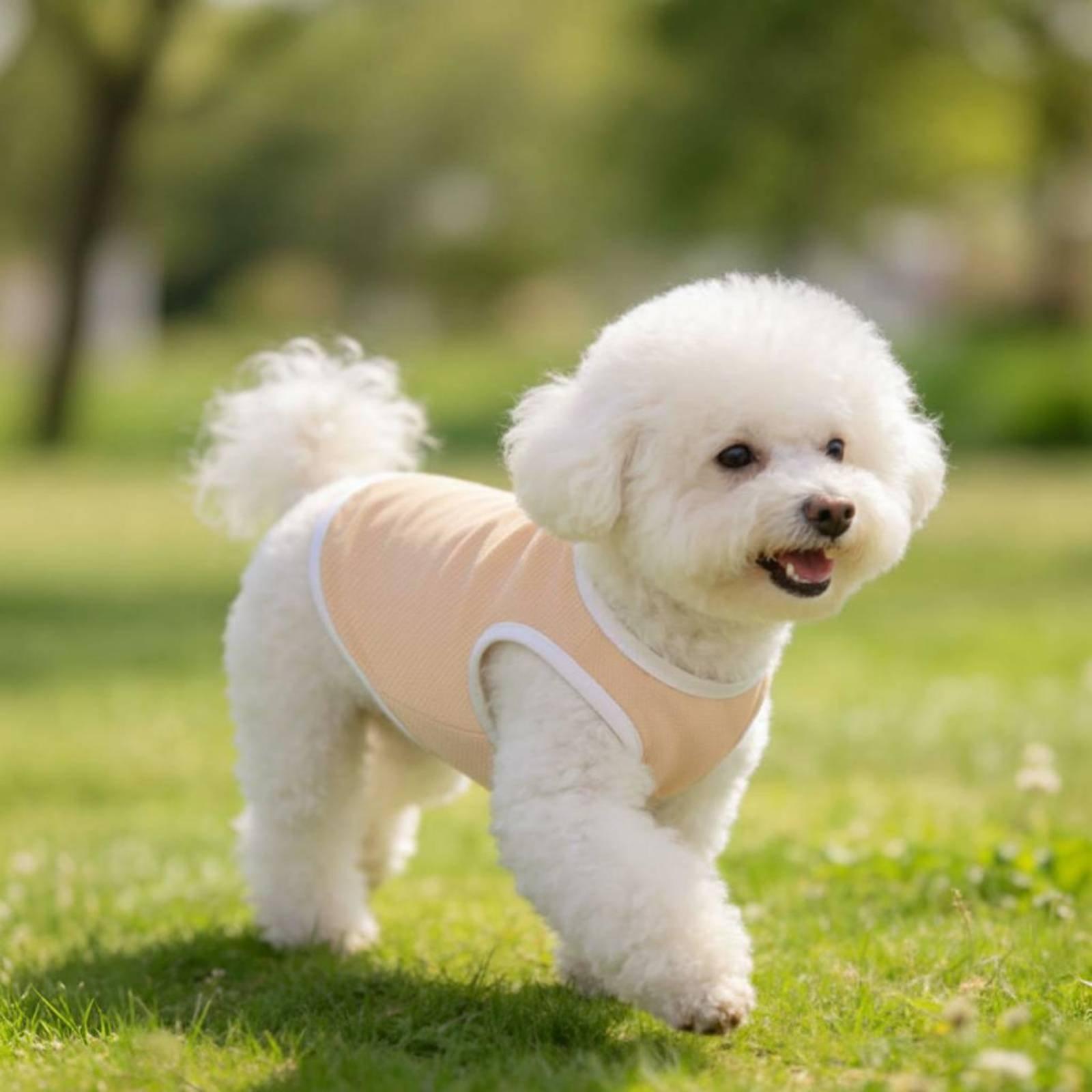 Köpekler için Pet Mesh Yelek,  - Outdoor Adventure Boys incelemesi ve fiyatı